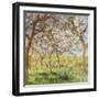 Spring at Giverny-Claude Monet-Framed Giclee Print