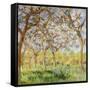 Spring at Giverny-Claude Monet-Framed Stretched Canvas