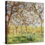 Spring at Giverny-Claude Monet-Stretched Canvas