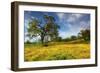 Spring at Shell Creek-Vincent James-Framed Photographic Print