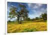 Spring at Shell Creek-Vincent James-Framed Photographic Print