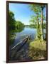 Spring at the Gro§ensee Lake Near Hamburg, Shore with Alders and Trunk, District Stormarn-Andreas Vitting-Framed Photographic Print