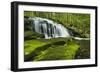 Spring At Tucker Brook-Michael Blanchette Photography-Framed Giclee Print