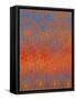 Spring Awakens VIII-Ricki Mountain-Framed Stretched Canvas