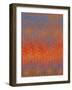 Spring Awakens VIII-Ricki Mountain-Framed Art Print