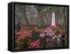 Spring Azaleas at Historic Bonaventure Cemetery, Savannah, Georgia-Joanne Wells-Framed Stretched Canvas