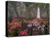 Spring Azaleas at Historic Bonaventure Cemetery, Savannah, Georgia-Joanne Wells-Stretched Canvas