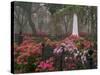 Spring Azaleas at Historic Bonaventure Cemetery, Savannah, Georgia-Joanne Wells-Stretched Canvas