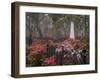 Spring Azaleas at Historic Bonaventure Cemetery, Savannah, Georgia-Joanne Wells-Framed Photographic Print