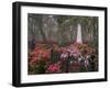 Spring Azaleas at Historic Bonaventure Cemetery, Savannah, Georgia-Joanne Wells-Framed Photographic Print