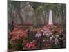 Spring Azaleas at Historic Bonaventure Cemetery, Savannah, Georgia-Joanne Wells-Mounted Photographic Print