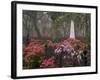 Spring Azaleas at Historic Bonaventure Cemetery, Savannah, Georgia-Joanne Wells-Framed Photographic Print