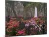 Spring Azaleas at Historic Bonaventure Cemetery, Savannah, Georgia-Joanne Wells-Mounted Photographic Print