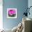 Spring Azaleas-Gary Tognoni-Framed Photographic Print displayed on a wall