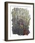 Spring Bank-Kirstie Adamson-Framed Giclee Print