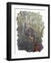 Spring Bank-Kirstie Adamson-Framed Giclee Print