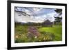 Spring Barn-Stephen Goodhue-Framed Premium Photographic Print