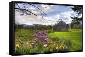 Spring Barn-Stephen Goodhue-Framed Stretched Canvas
