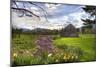 Spring Barn-Stephen Goodhue-Mounted Photographic Print