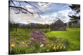 Spring Barn-Stephen Goodhue-Stretched Canvas