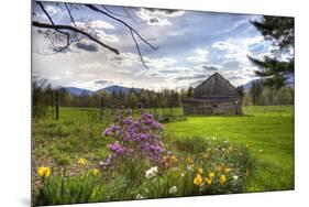 Spring Barn-Stephen Goodhue-Mounted Photographic Print