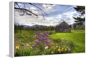 Spring Barn-Stephen Goodhue-Framed Stretched Canvas