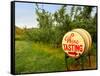 Spring Barrel Tasting, Lake Chelan, Washington, USA-Richard Duval-Framed Stretched Canvas