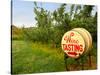 Spring Barrel Tasting, Lake Chelan, Washington, USA-Richard Duval-Stretched Canvas