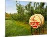 Spring Barrel Tasting, Lake Chelan, Washington, USA-Richard Duval-Mounted Photographic Print