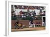 Spring Baseball Game, Auburn University-Carol Highsmith-Framed Art Print