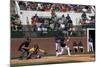 Spring Baseball Game, Auburn University-Carol Highsmith-Mounted Art Print