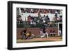 Spring Baseball Game, Auburn University-Carol Highsmith-Framed Art Print