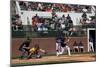 Spring Baseball Game, Auburn University-Carol Highsmith-Mounted Art Print