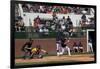 Spring Baseball Game, Auburn University-Carol Highsmith-Framed Art Print