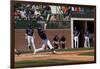 Spring Baseball Game, Auburn University-Carol Highsmith-Framed Art Print