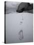 Spring Bay Beach, Virgin Gorda, Caribbean-Stuart Westmorland-Stretched Canvas