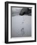 Spring Bay Beach, Virgin Gorda, Caribbean-Stuart Westmorland-Framed Premium Photographic Print