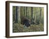 Spring Beauties-Wilhelm Goebel-Framed Giclee Print