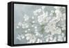 Spring Beautiful Gray-James Wiens-Framed Stretched Canvas