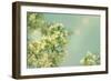 Spring Beauty I-Sue Schlabach-Framed Art Print