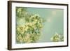 Spring Beauty I-Sue Schlabach-Framed Art Print