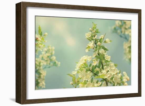 Spring Beauty II-Sue Schlabach-Framed Art Print