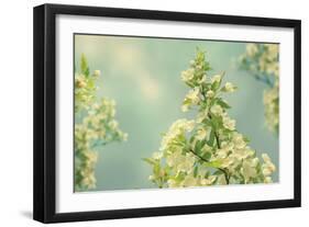 Spring Beauty II-Sue Schlabach-Framed Art Print