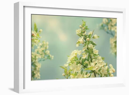 Spring Beauty II-Sue Schlabach-Framed Art Print