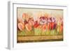 Spring Beauty-Patricia Pinto-Framed Art Print