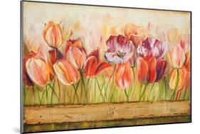 Spring Beauty-Patricia Pinto-Mounted Art Print