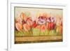 Spring Beauty-Patricia Pinto-Framed Premium Giclee Print
