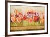 Spring Beauty-Patricia Pinto-Framed Art Print