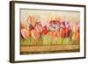 Spring Beauty-Patricia Pinto-Framed Art Print