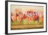 Spring Beauty-Patricia Pinto-Framed Art Print